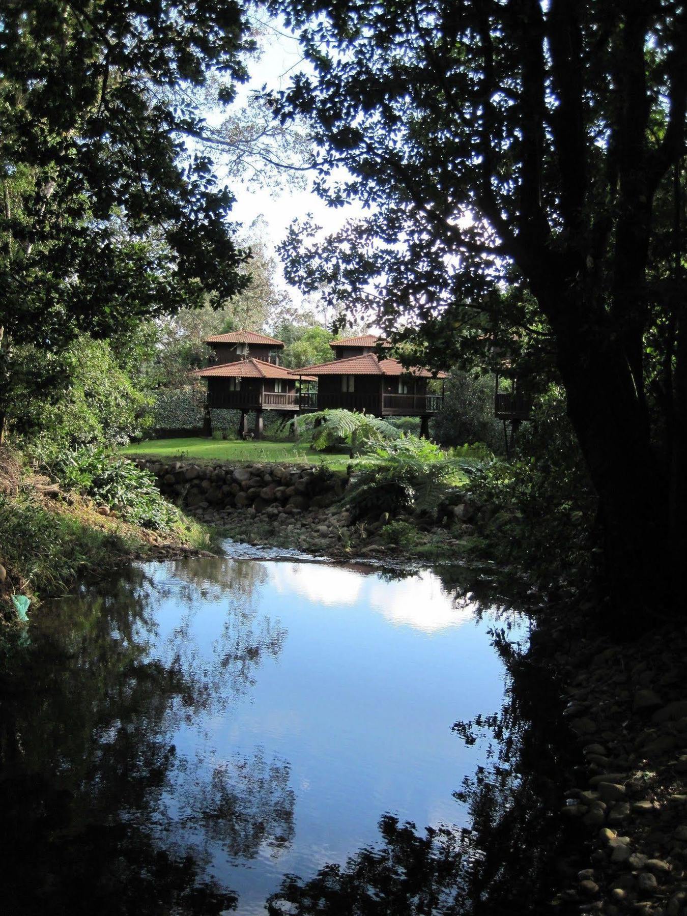 Quinta Das Eiras Hotel Santo Antonio da Serra ภายนอก รูปภาพ